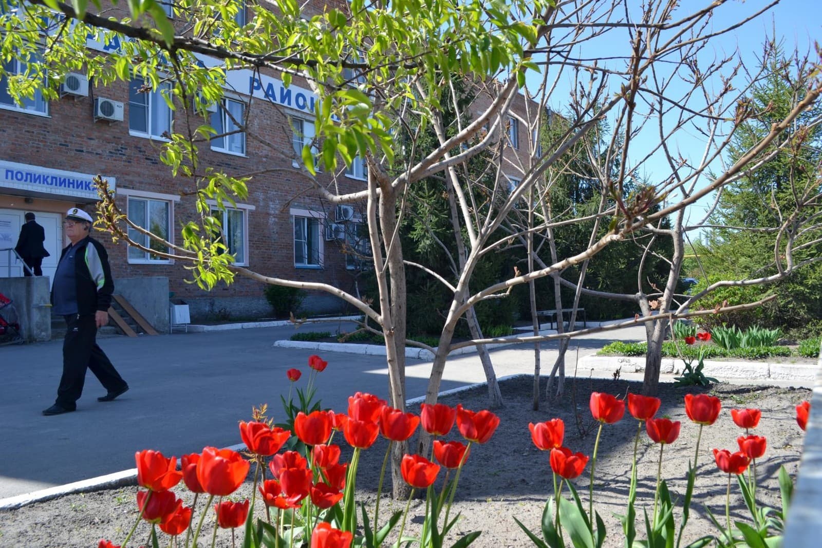 Развитие системы оказания первичной медико-санитарной помощи