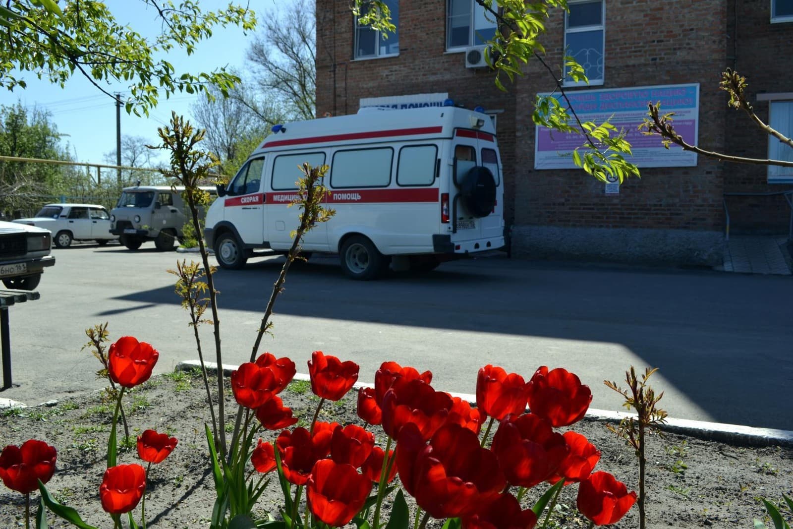 Развитие системы оказания первичной медико-санитарной помощи